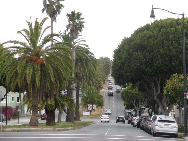 Looking North on Dolores St Photo by Kathleen Narruhn